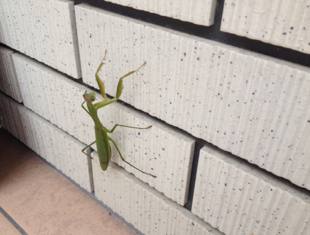 014a9bc5c67d27a26d4fc4a099efd7085e546991e5